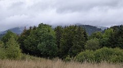 105_TZ60_P1040917_cr