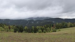 122_TZ60_P1040939_cr