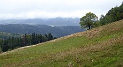 151_TZ60_P1040962_cr