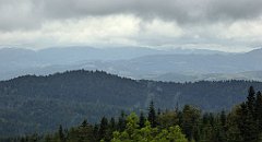 158_TZ60_P1040967_cr