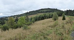 163_TZ60_P1040972_cr