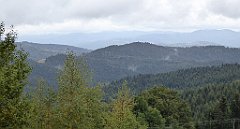 166_TZ60_P1040975_cr