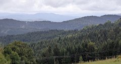 167_TZ60_P1040976_cr