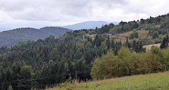 168_TZ60_P1040977_cr