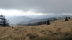 228_TZ60_P1050027_cr