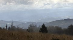 242_TZ60_P1050041_cr