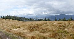 258_TZ60_P1050059_cr