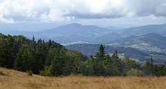 260_TZ60_P1050062_cr