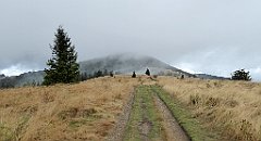 274_TZ60_P1050077_cr