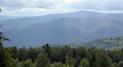 276_TZ60_P1050079_cr