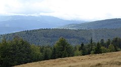 279_TZ60_P1050082_cr