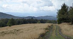 281_TZ60_P1050084_cr