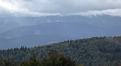 283_TZ60_P1050086_cr