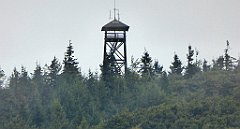 286_TZ60_P1050089_cr