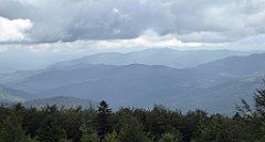 288_TZ60_P1050091_cr