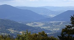 296_TZ60_P1050099_cr