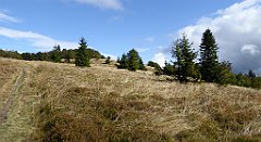 306_TZ60_P1050106_cr