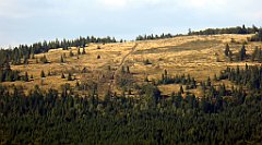 336_TZ60_P1050125_cr