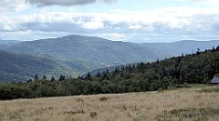 343_TZ60_P1050129_cr