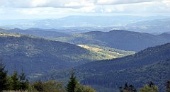 352_TZ60_P1050139_cr