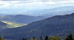 353_TZ60_P1050140_cr