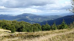 362_TZ60_P1050150_cr