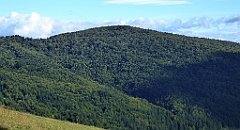 410_TZ60_P1050191_cr