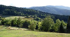 416_TZ60_P1050198_cr