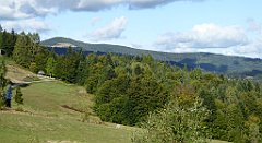 433_TZ60_P1050211_cr