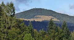 434_TZ60_P1050212_cr