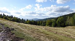 436_TZ60_P1050214_cr