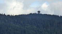 450_TZ60_P1050226_cr