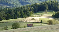 453_TZ60_P1050230_cr