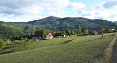 462_TZ60_P1050237_cr