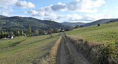 463_TZ60_P1050238_cr