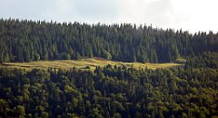 466_TZ60_P1050241_cr