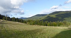 469a_TZ60_P1050244_cr