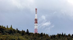 481_TZ60_P1050254_cr