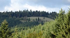 483_TZ60_P1050256_cr