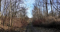 015_TZ60_P1060385_cr