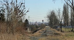 029_TZ60_P1060389_cr