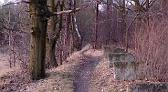 156_TZ60_P1060464_cr