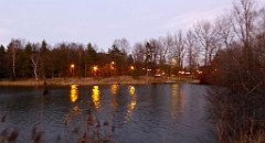 167_TZ60_P1060478_cr