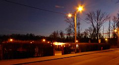 184_TZ60_P1060495_cr