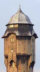 155_TZ60_P1060514_cr