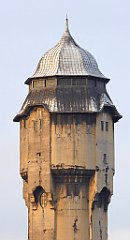 159_TZ60_P1060518_cr