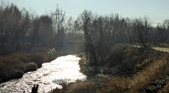 009_TZ60_P1060593_cr