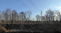 016_TZ60_P1060597_cr