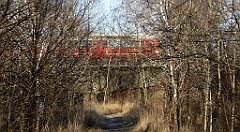 061_TZ60_P1060621_cr