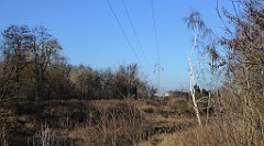 089_TZ60_P1060633_cr